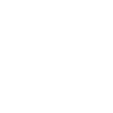 color icon