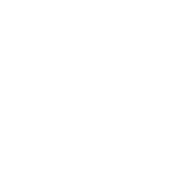 pair icon